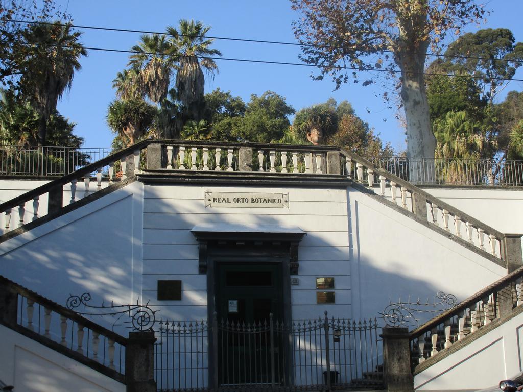 Nella Storica Piazza Carlo Iii Appartement Naples